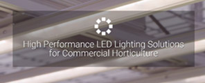 PhotoBio LED